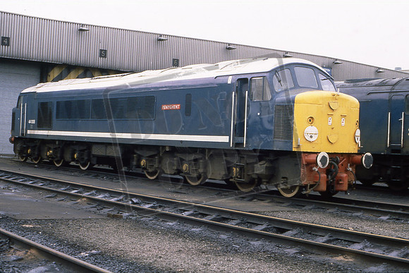 TTR10227 44008 PENYGHENT (Cat No TTR10227) Toton David Canning
