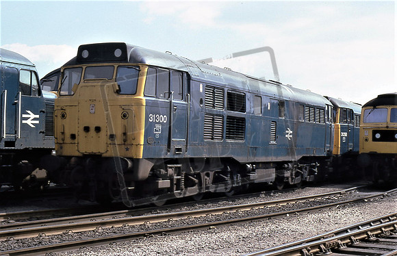 TTR10265 31300 (Cat No TTR10265) May 1980 David Canning