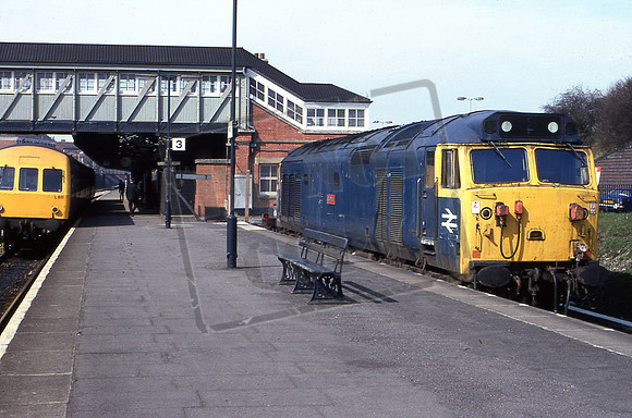 TTR10053 50013 C811 NEWBURY 14-4-1979 DAVID CANNING