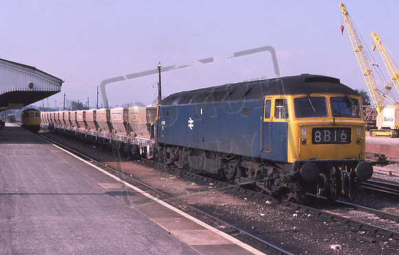 TTR10099 47245 David Canning