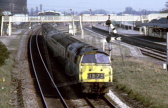TTR10104 1053 NEWBURY RACECOURSE 30-3-1974