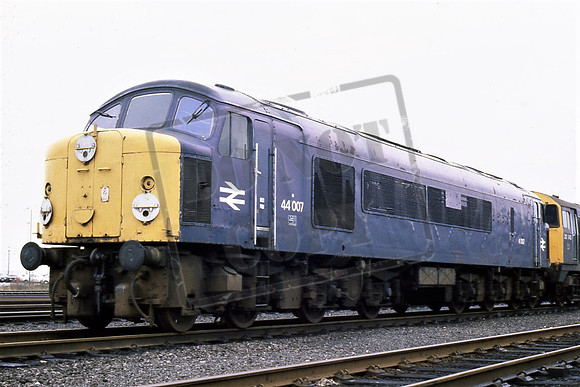 TTR10274 44007 (Cat No TTR10274) Toton. David Canning
