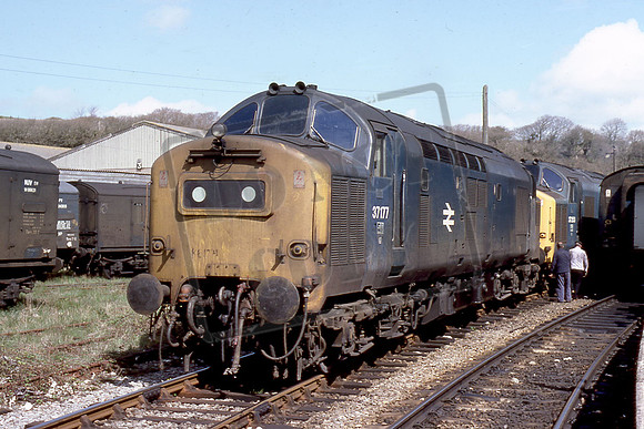 TTR10289 37177 37253  Milford Haven. On the Pembroke Pioneer railtour 5th May 79 David Canning