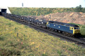 4-17 47226 SEAGULL (Cat No 4-17) Near MillerhillL 19-07-90 Ian Ball