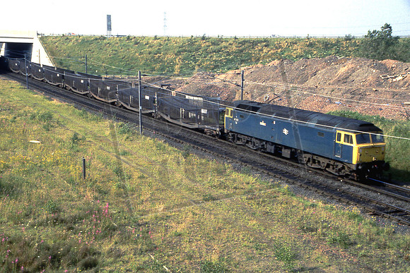 4-17 47226 SEAGULL (Cat No 4-17) Near MillerhillL 19-07-90 Ian Ball