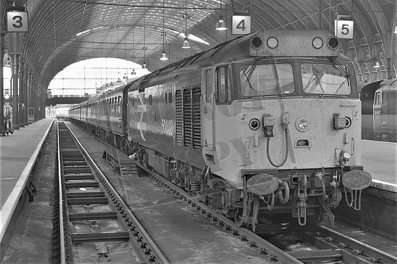 TTP50033C