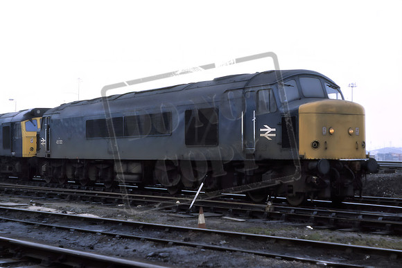45132 I(Cat No JSM45132)