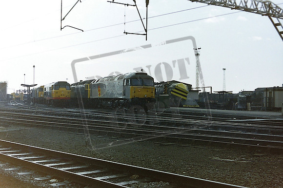 47     crewe 6 2 88 (3)