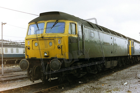 47 079 eastleigh 18 3 87