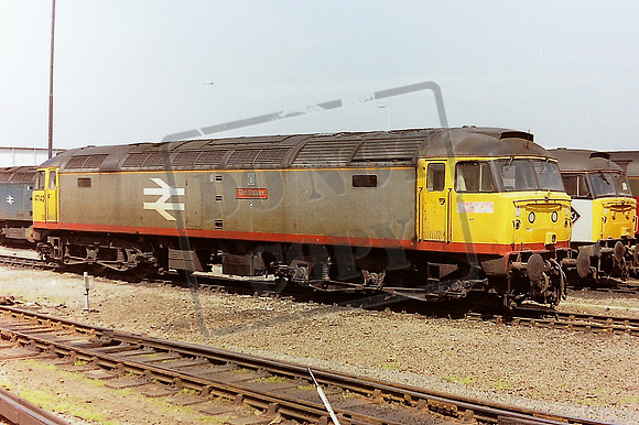 47 142 eastleigh 29 5 91 (2)