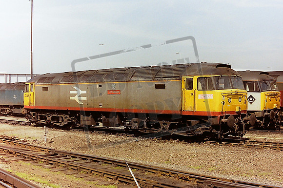 47 142 eastleigh 29 5 91