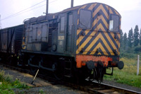 CLASS 12 SHUNTERS COLOUR
