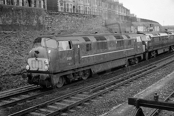 800 TTP D800 SIR BRIAN ROBERTSON PLYMOUTH NORTH END
