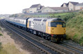 CLASS 26 COLOUR
