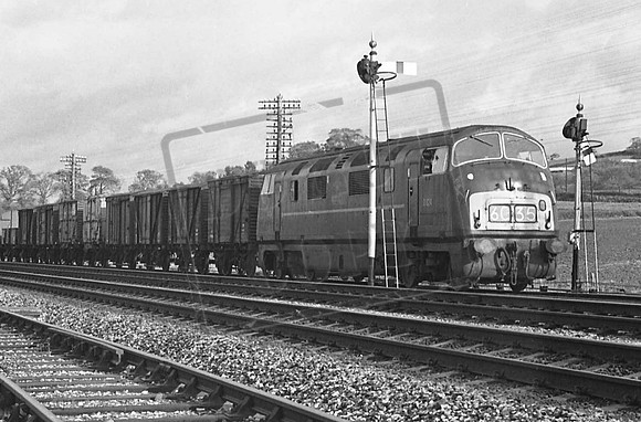 824 TTP D824 C1965