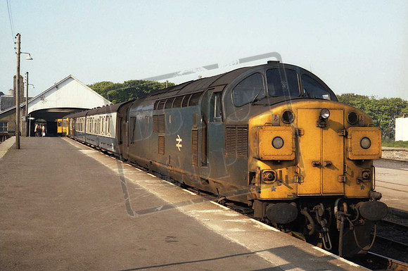 37015MK THURSO M KEALL