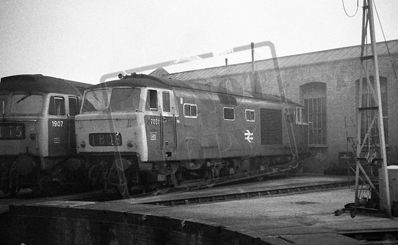 7001TTP & 1907 OLD OAK COMMON 1973