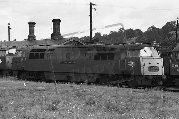 TTP 1034B D1034 WESTERN DRAGOON EXETER 1973