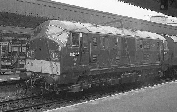 6347 TTP PADDINGTON BRIAN LOCKWOOD (C) TRANSPORT TOPICS