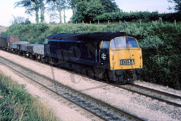 1036ACO HEMERTON BANK, 16-7-76 ANTHONY COOMBE