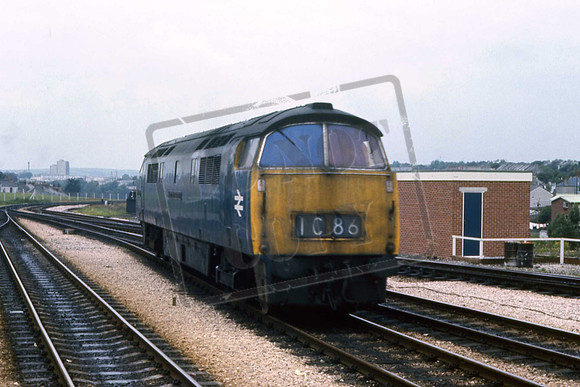 1046CJM  WESTERN MARQUIS