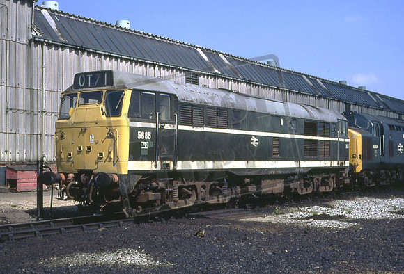 5685 (Cat No UN5685) WATH 16-7-1972