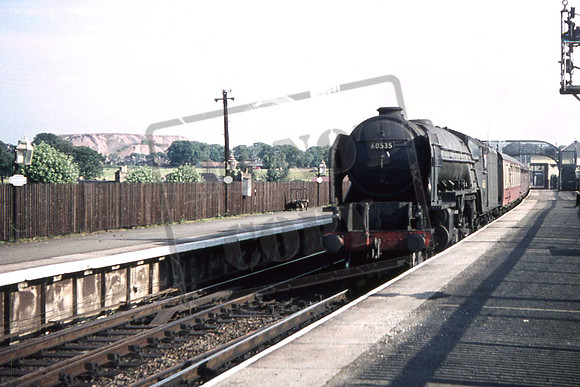 60535UNS HORNETS BEAUTY DALMENY 8-8-1959