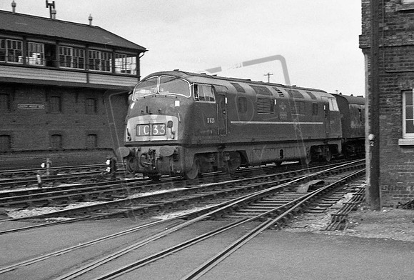 825 TTP INTREPID EXETER ST DAVIDS
