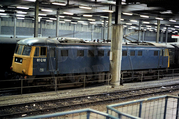 81018TD EUSTON TONY DOYLE
