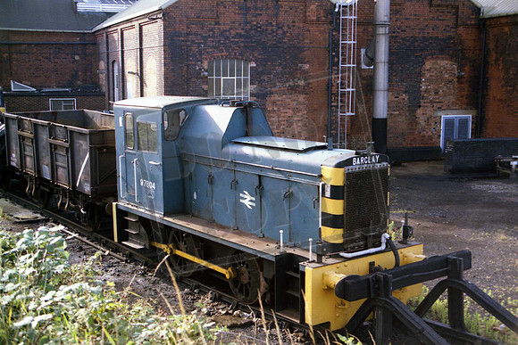97804SW OLD OAK AWAITING TRANSFER TO PRESERVATION 5-8-86 STAN WITHERS