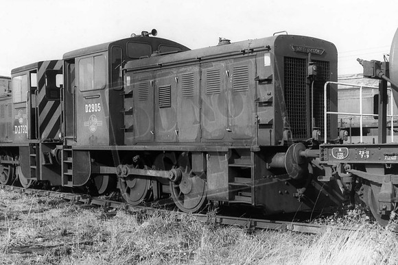 TTP2905 WOLVERTON