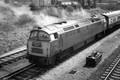 CLASS 52 WESTERNS MONO