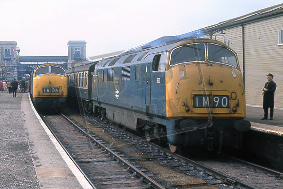 865 ZEALOUS (Cat No TTR10296 EXETER ST DAVIDS DAVID CANNING