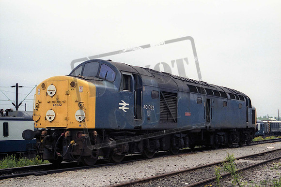 40022JG AT LONGSIGHT JOHN GRIFFITHS