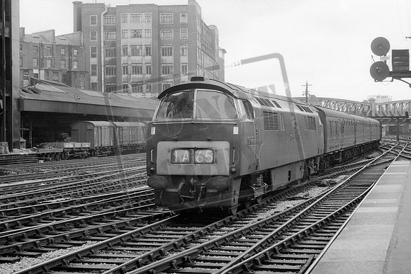 D1045 (Cat No TTP1054C) D1045 WESTERN VISCOUNT PADDINGTON
