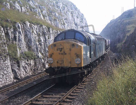 40093UNB DOVEDALE CUTTING 1979