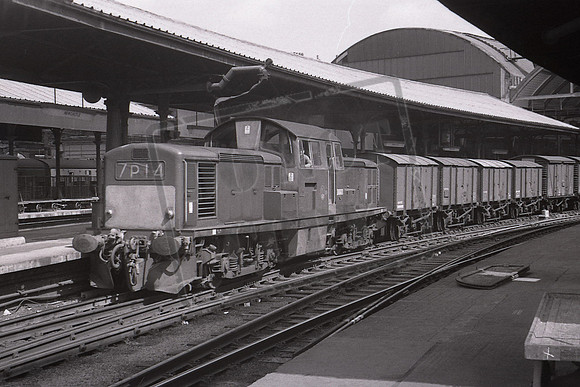 8601 TTP NEWCASTLE