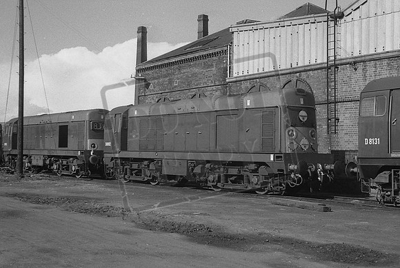 8062 TTP STAVELY
