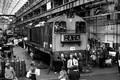 CLASS 20 MONO