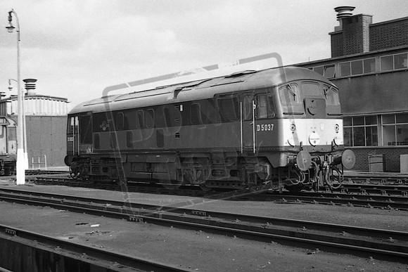 5037 TTP IPSWICH
