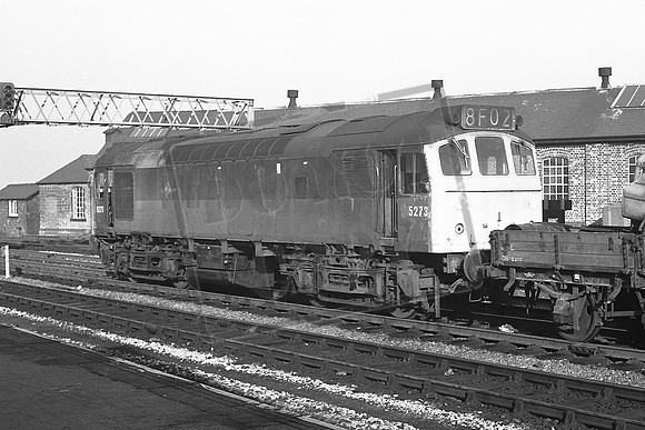 5273 V DERBY
