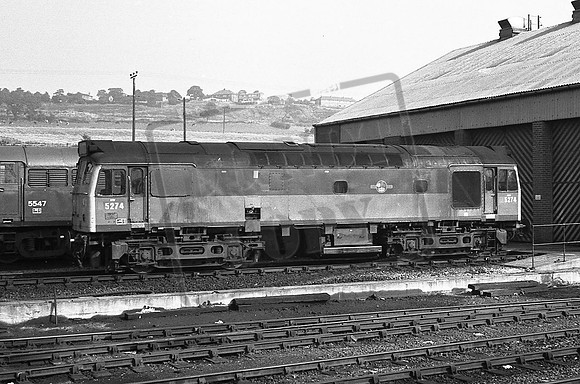 5274 TTP HEALEY MILLS 1971