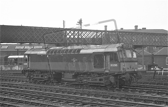 5285 TTP DERBY