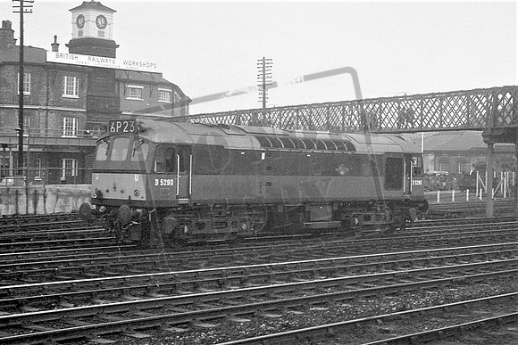 5290 TTP DERBY