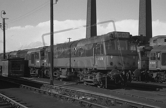 7636 TTP STAVELY