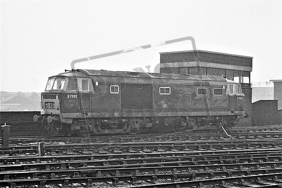 TTP7001 BRISTOL