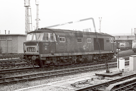 TTP7002 BRISTOL