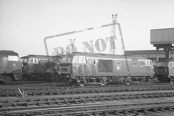TTP7004 BRISTOL