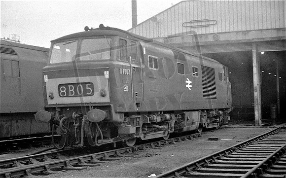 TTP7007 BRISTOL