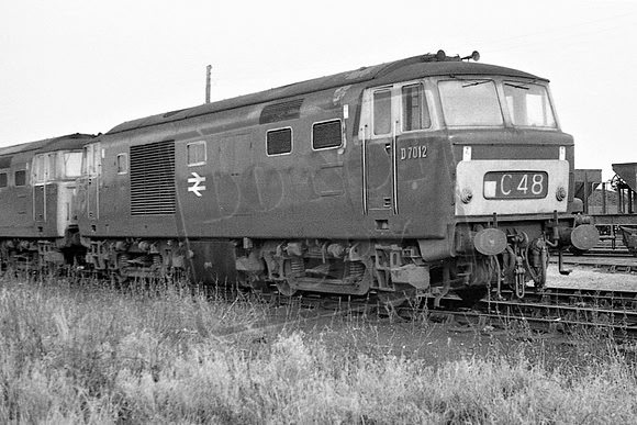 TTP7012B WESTBURY 1969